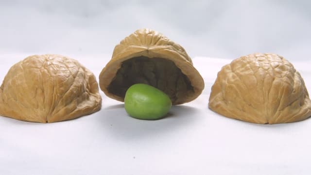 Shell game (Visual tracking)